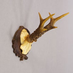 Antique Red Deer Trophy on Carved Plaque, Black Forest, Germany ca.1935