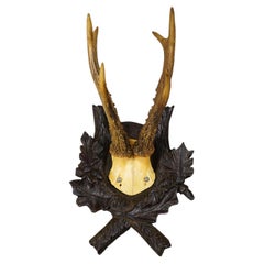 Antique Red Deer Trophy on Carved Plaque, Black Forest, Germany 1900