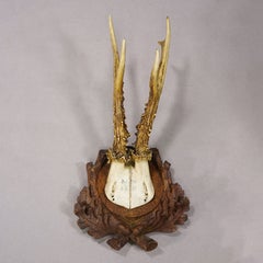Antique Black Forest Red Deer Trophy on Carved Plaque, Germany 1929