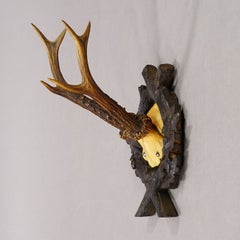 Antique Red Deer Trophy on Carved Plaque, Black Forest, Germany 1900