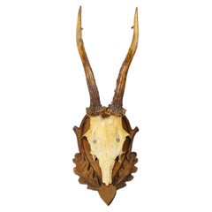 Vintage Black Forest Red Deer Trophy on Carved Plaque, Germany 1950s