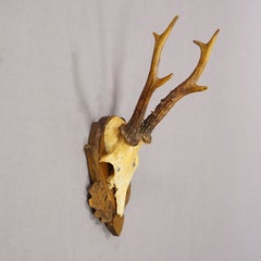 Vintage Black Forest Red Deer Trophy on Carved Plaque, Germany 1950s