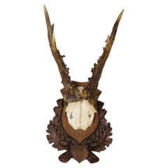 Black Forest Red Deer Trophy on Carved Plaque, Germany 1930s