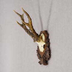 Black Forest Red Deer Trophy on Carved Plaque, Germany 1930s