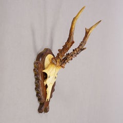 Vintage Black Forest Red Deer Trophy on Carved Plaque, Germany 1950s