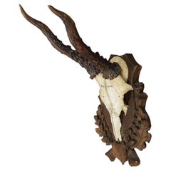 Vintage Black Forest Red Deer Trophy on Carved Plaque, Germany 1941