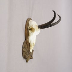 Vintage Black Forest Chamois Trophy on Wooden Plaque, Germany 1950s