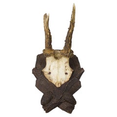Black Forest Antique Red Deer Trophy on Carved Plaque Germany 1920s