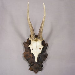 Black Forest Antique Red Deer Trophy on Carved Plaque Germany 1930s