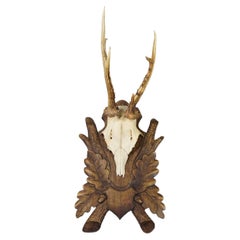 Antique Black Fores Red Deer Trophy on Carved Plaque, Germany, ca. 1920s