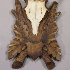 Antique Black Fores Red Deer Trophy on Carved Plaque, Germany, ca. 1920s