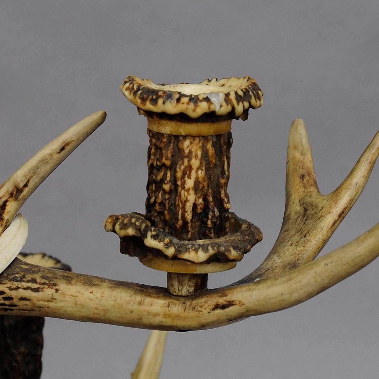 Great Black Forest Cabin Decor Antler Candelabra Circa 1900 For