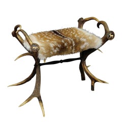 Antique Antler Stool with Fallow Deer Fur, Germany, circa 1870