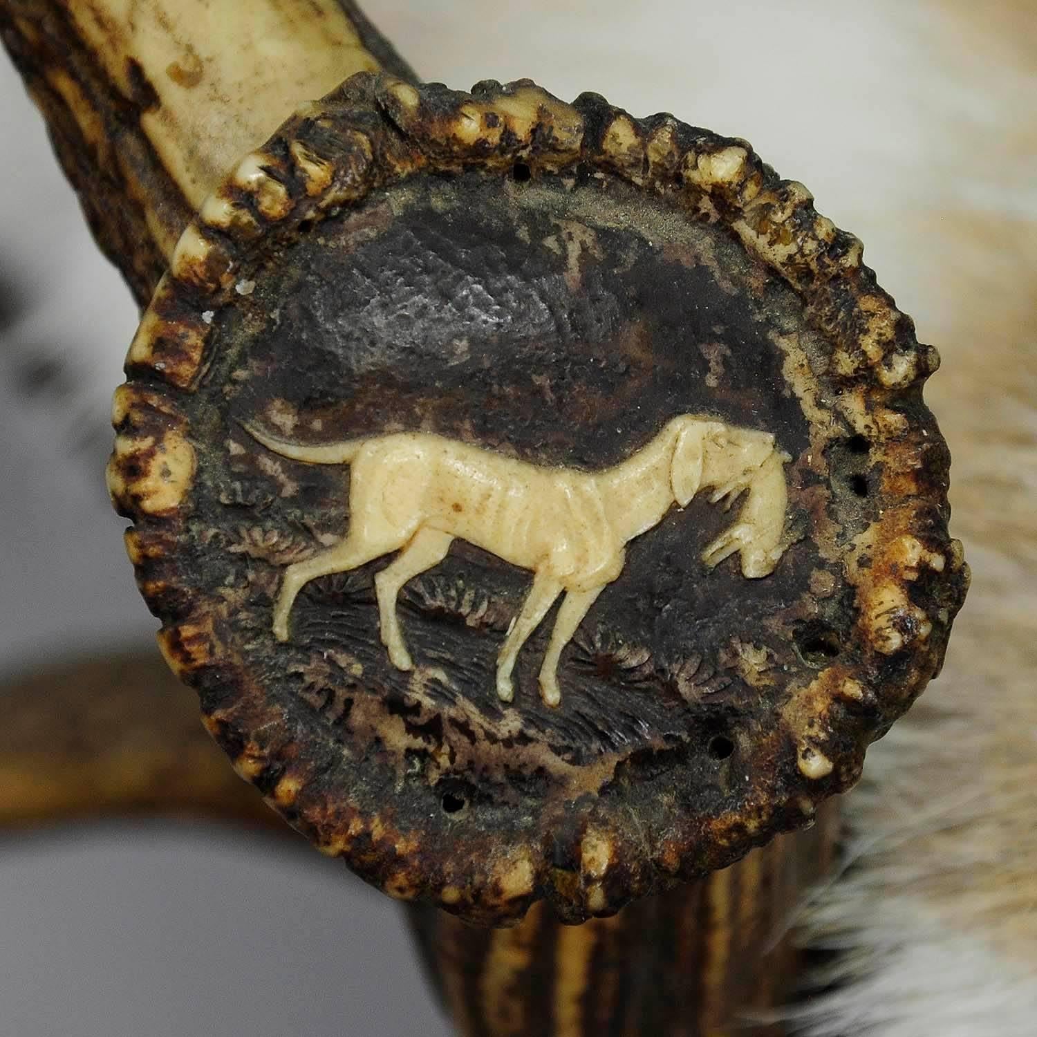 19th Century Antique Antler Stool with Fallow Deer Fur, Germany, circa 1870