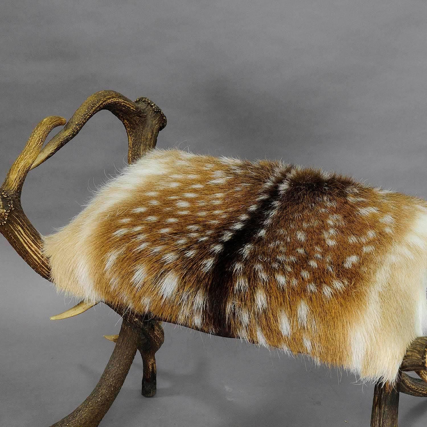 Antique Antler Stool with Fallow Deer Fur, Germany, circa 1870 4