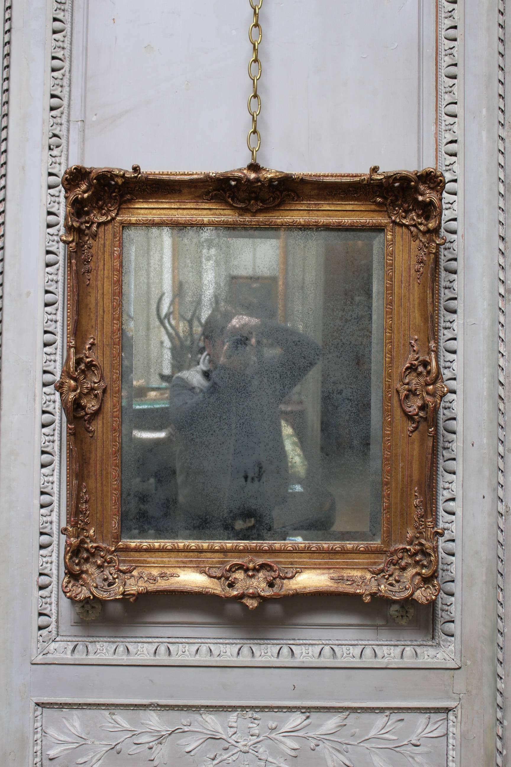 A French gilded wood and gesso mirror.