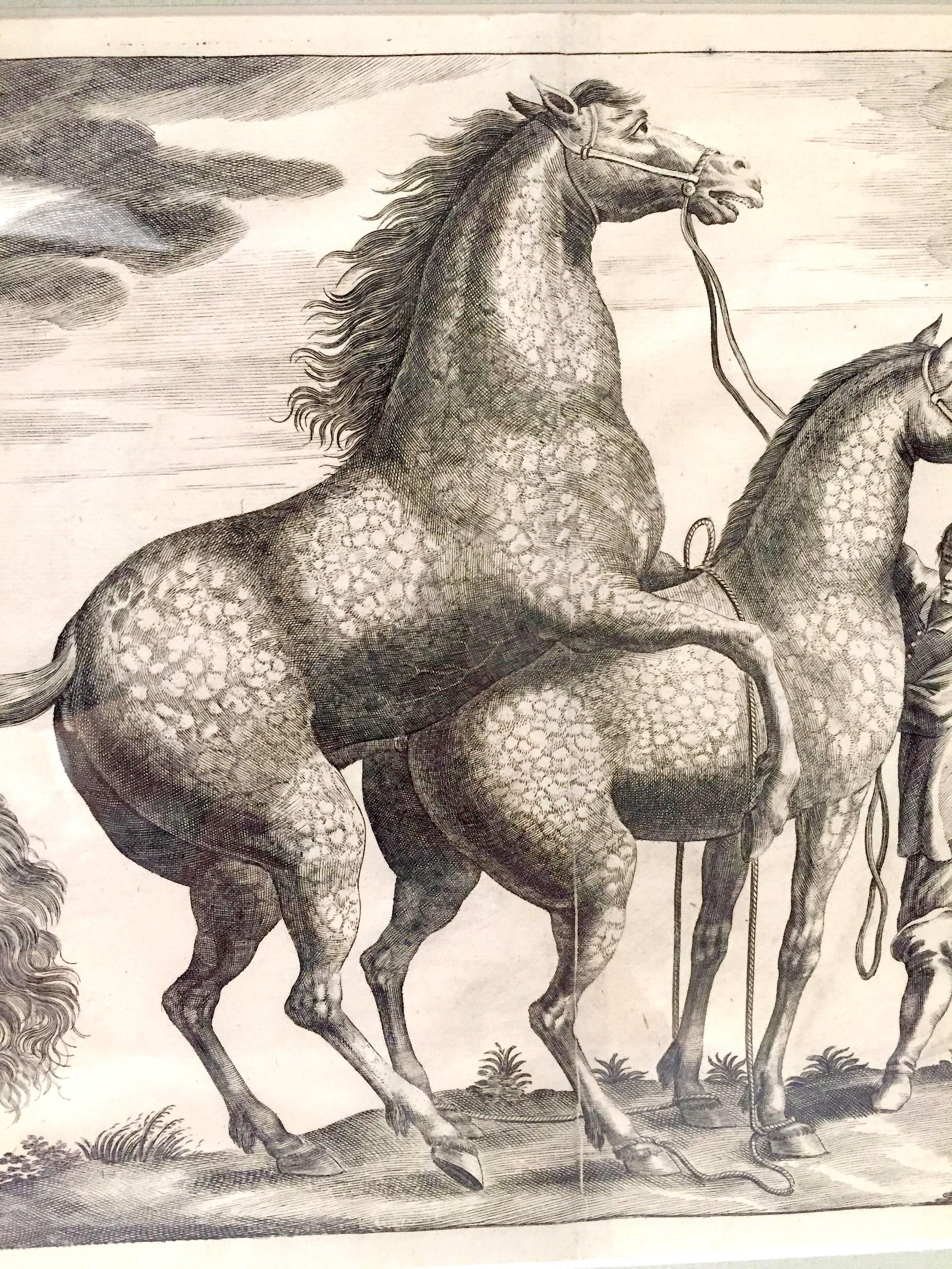 18th Century French or German Engravings of Thoroughbred Horses In Good Condition In San Francisco, CA