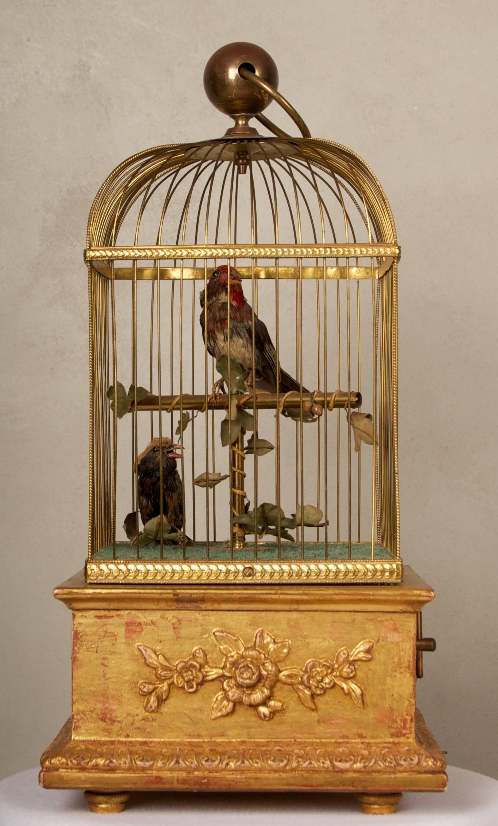 Two feathered mechanical birds in great working condition. Both birds sing,
move their peaks and turn their heads.
The cage base is hand-carved and water gilded.