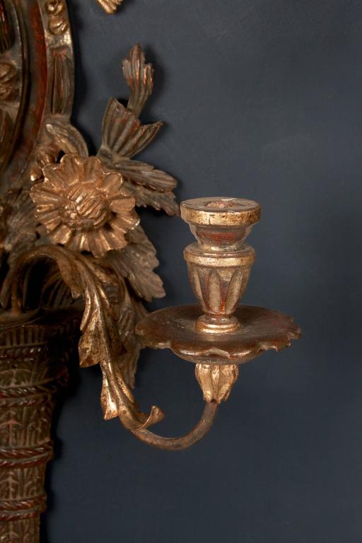 Pair of 19th Century English Regency Carved Giltwood Sconces or Wall Appliques For Sale 5