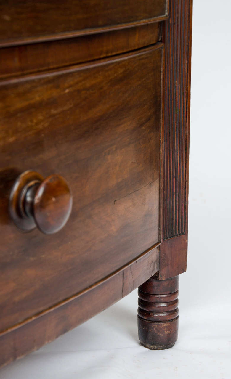 British Georgian Regency Period Bow Fronted Chest with Reeded Detail, English circa 1825 For Sale