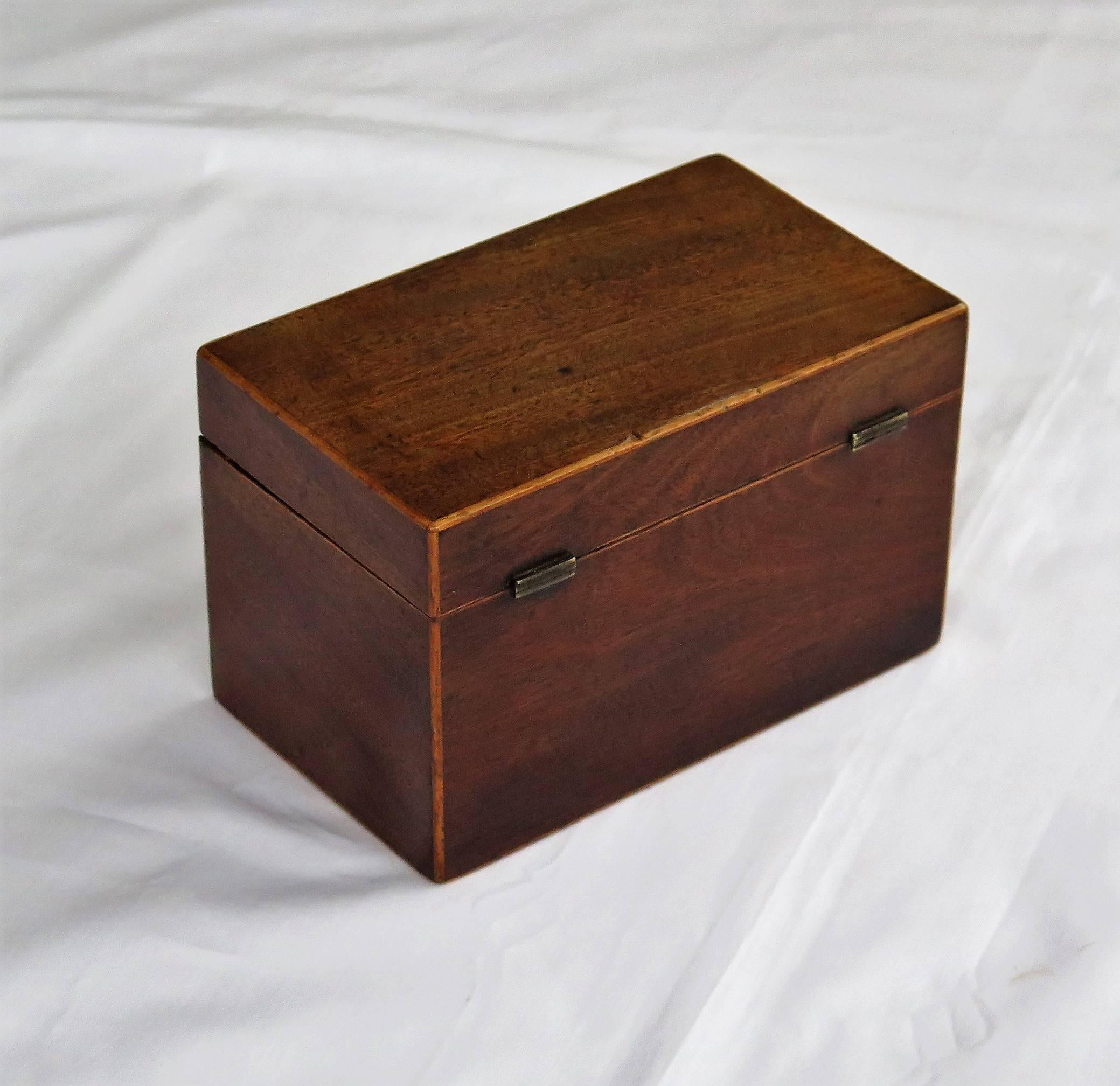 Georgian Tea Caddy Two Compartment, Mahogany with Boxwood Edges, circa 1800 In Good Condition In Lincoln, Lincolnshire
