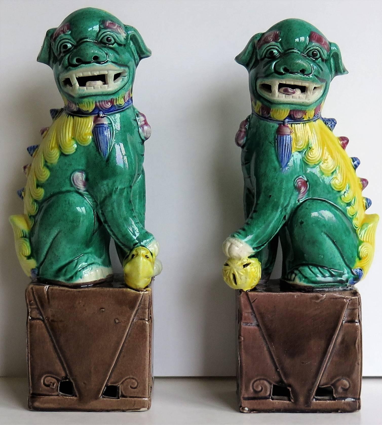 These are a good pair of Chinese porcelain foo dogs, sometimes called temple lions.

They are a male and female pair, sitting on rectangular plinths, the larger one with a puppy under one paw and the smaller one with a brocade ball. The porcelain is