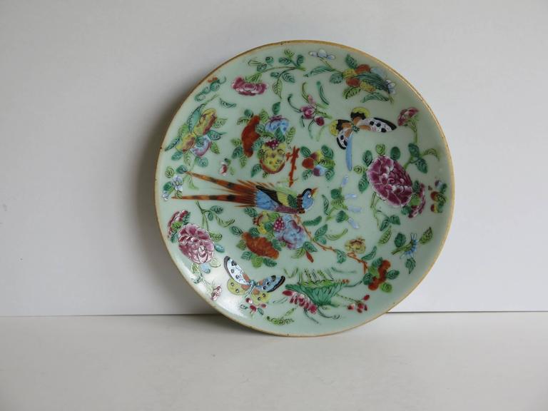 Two Chinese Plates, Porcelain, Celadon, Birds and Butterflies, Qing