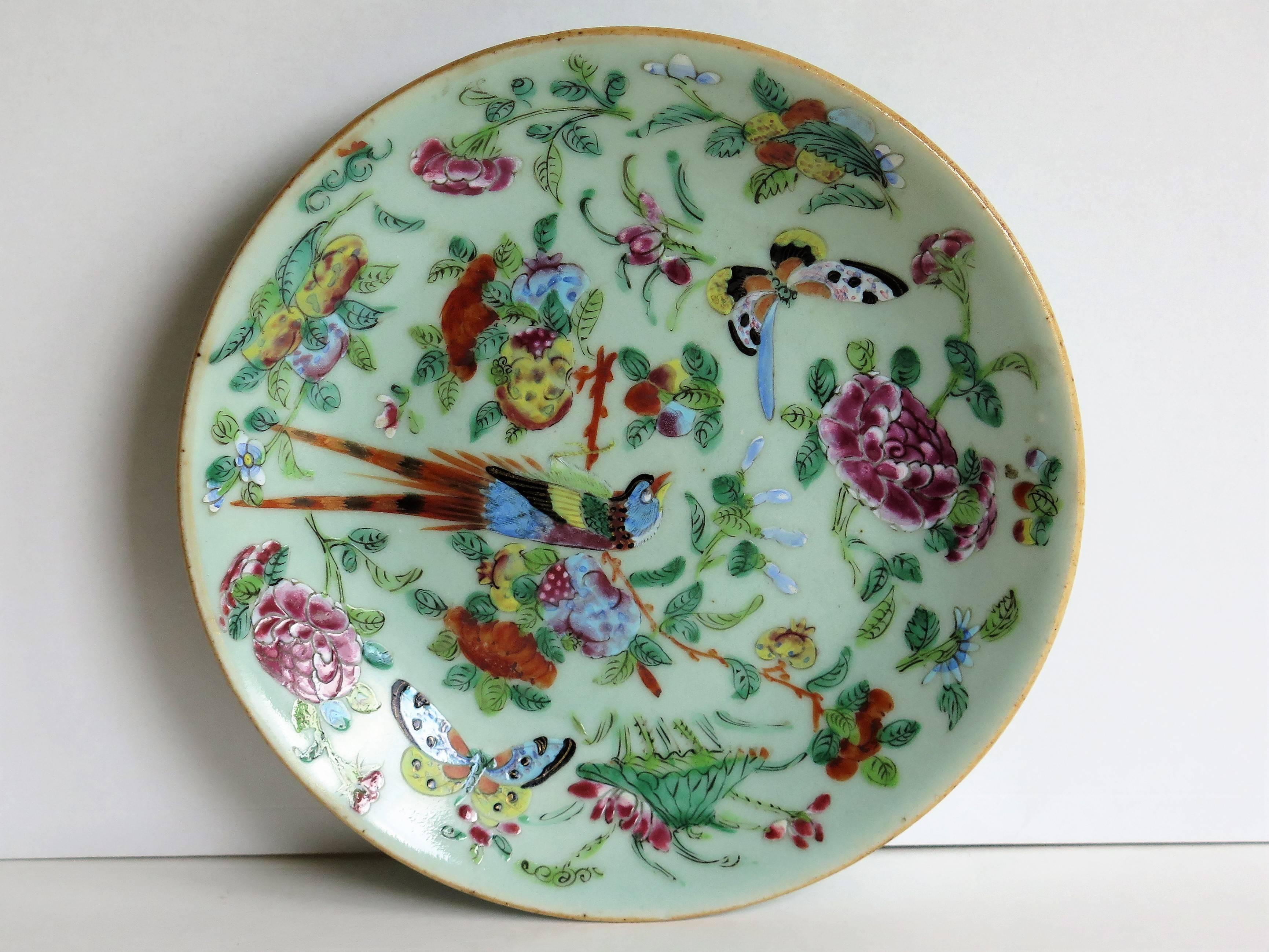 Hand-Painted Two Chinese Plates, Porcelain, Celadon, Birds and Butterflies, Qing, circa 1830