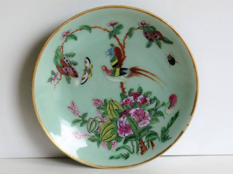 Two Chinese Plates, Porcelain, Celadon, Birds and Butterflies, Qing