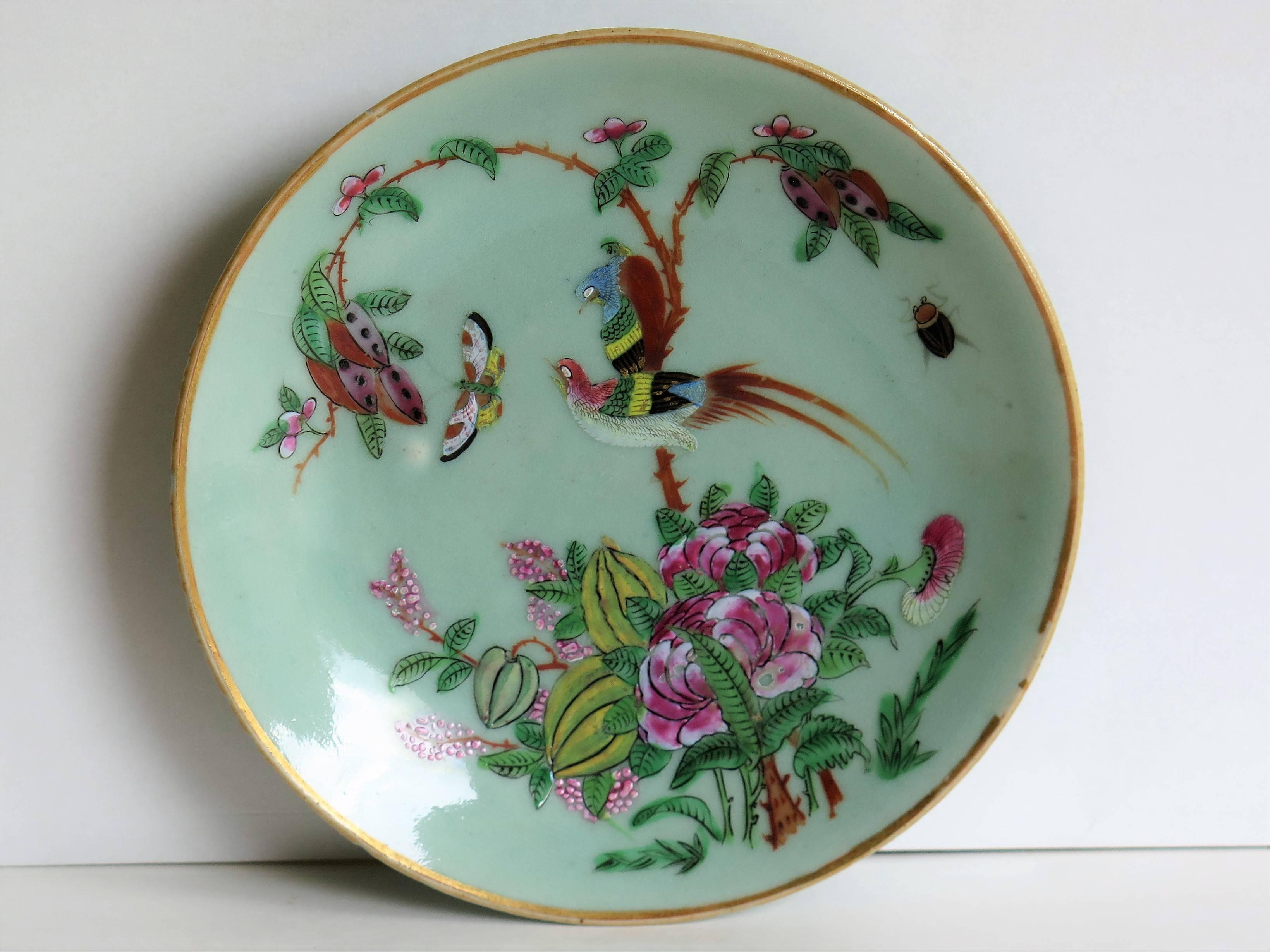 Two Chinese Plates, Porcelain, Celadon, Birds and Butterflies, Qing, circa 1830 In Excellent Condition In Lincoln, Lincolnshire