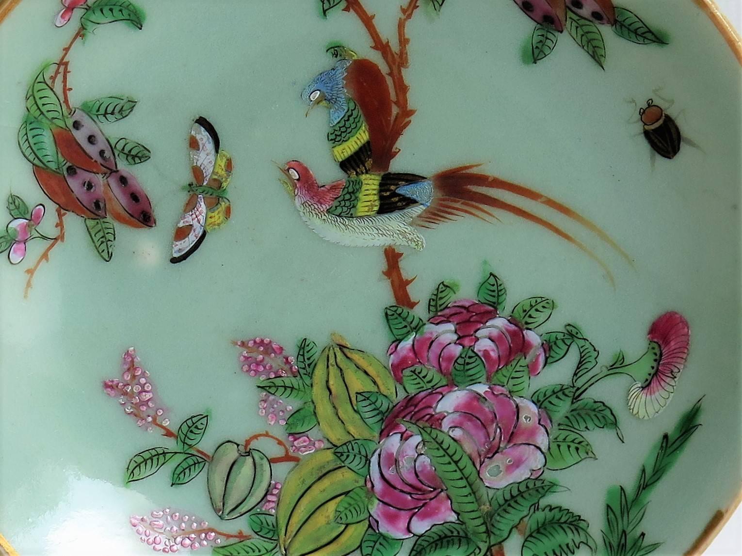 19th Century Two Chinese Plates, Porcelain, Celadon, Birds and Butterflies, Qing, circa 1830