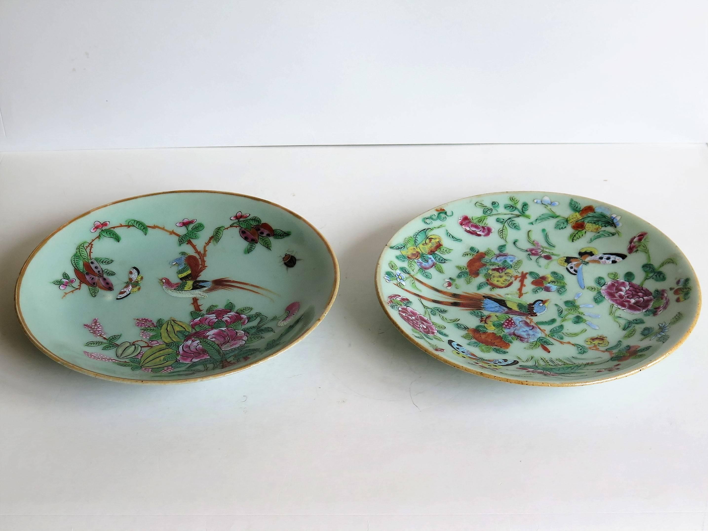 Two Chinese Plates, Porcelain, Celadon, Birds and Butterflies, Qing, circa 1830 1