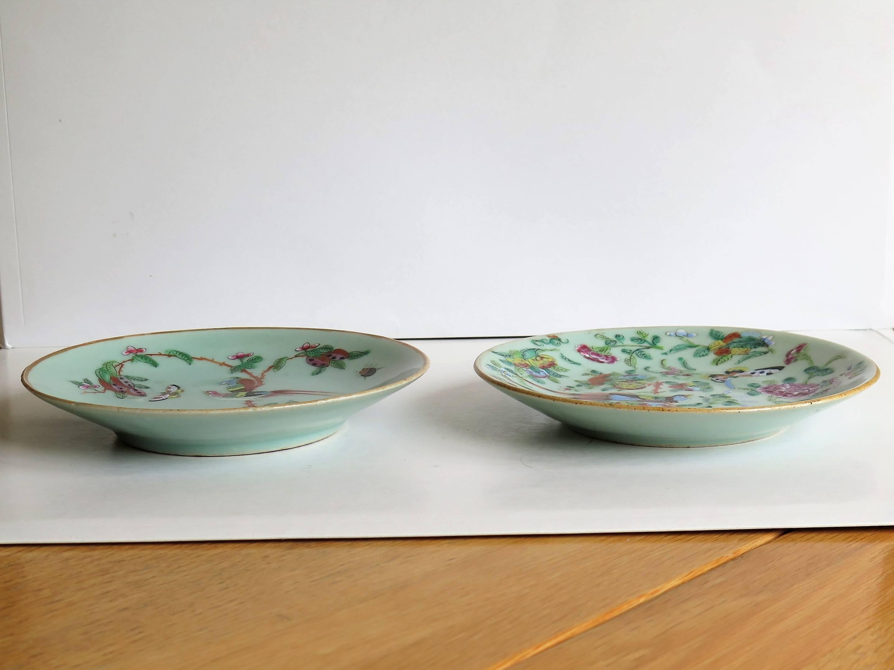 Two Chinese Plates, Porcelain, Celadon, Birds and Butterflies, Qing, circa 1830 2