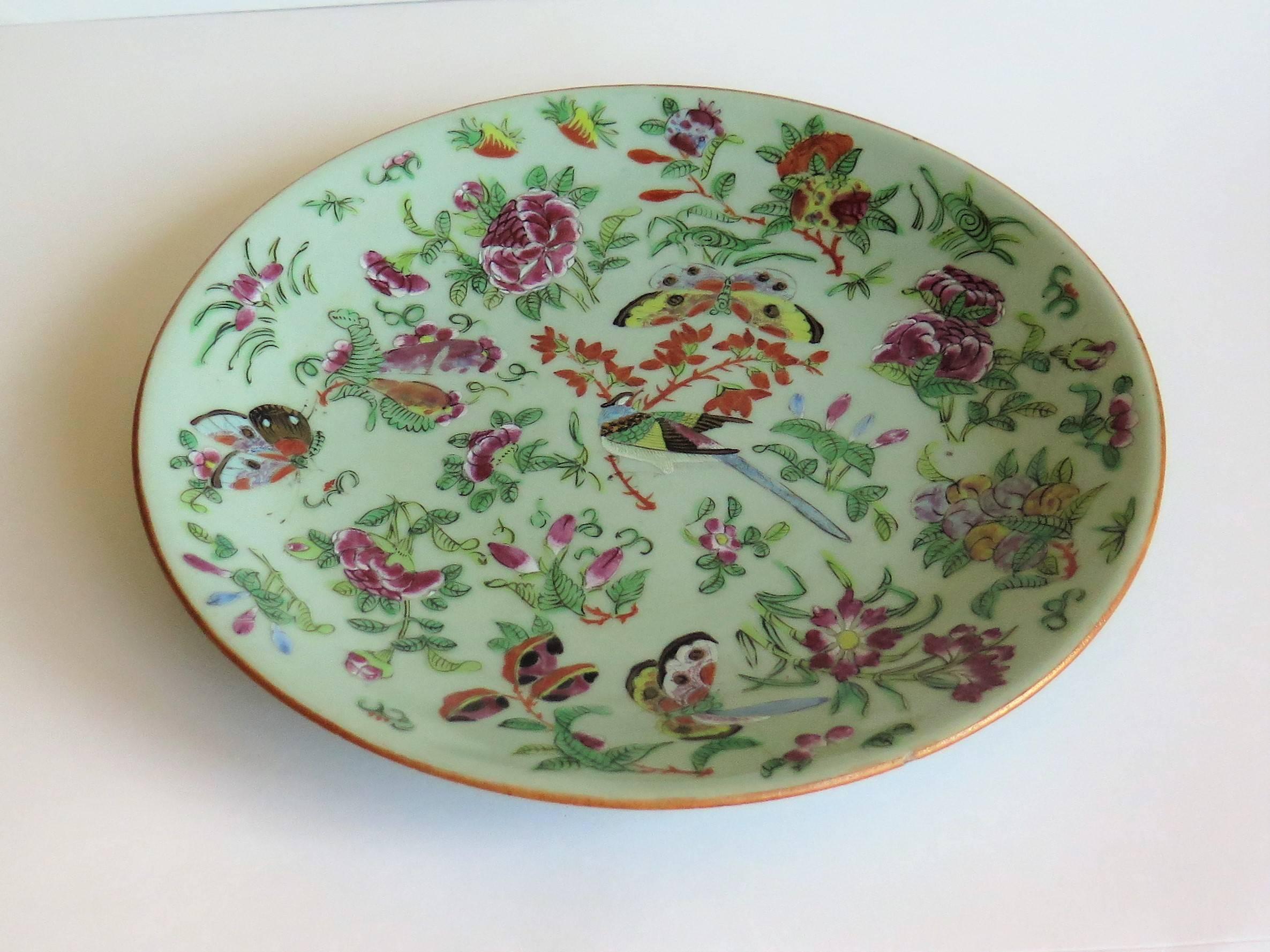 Chinese Porcelain Plate Celadon Glaze Hand-Painted butterflies, Qing Circa 1820 In Good Condition In Lincoln, Lincolnshire