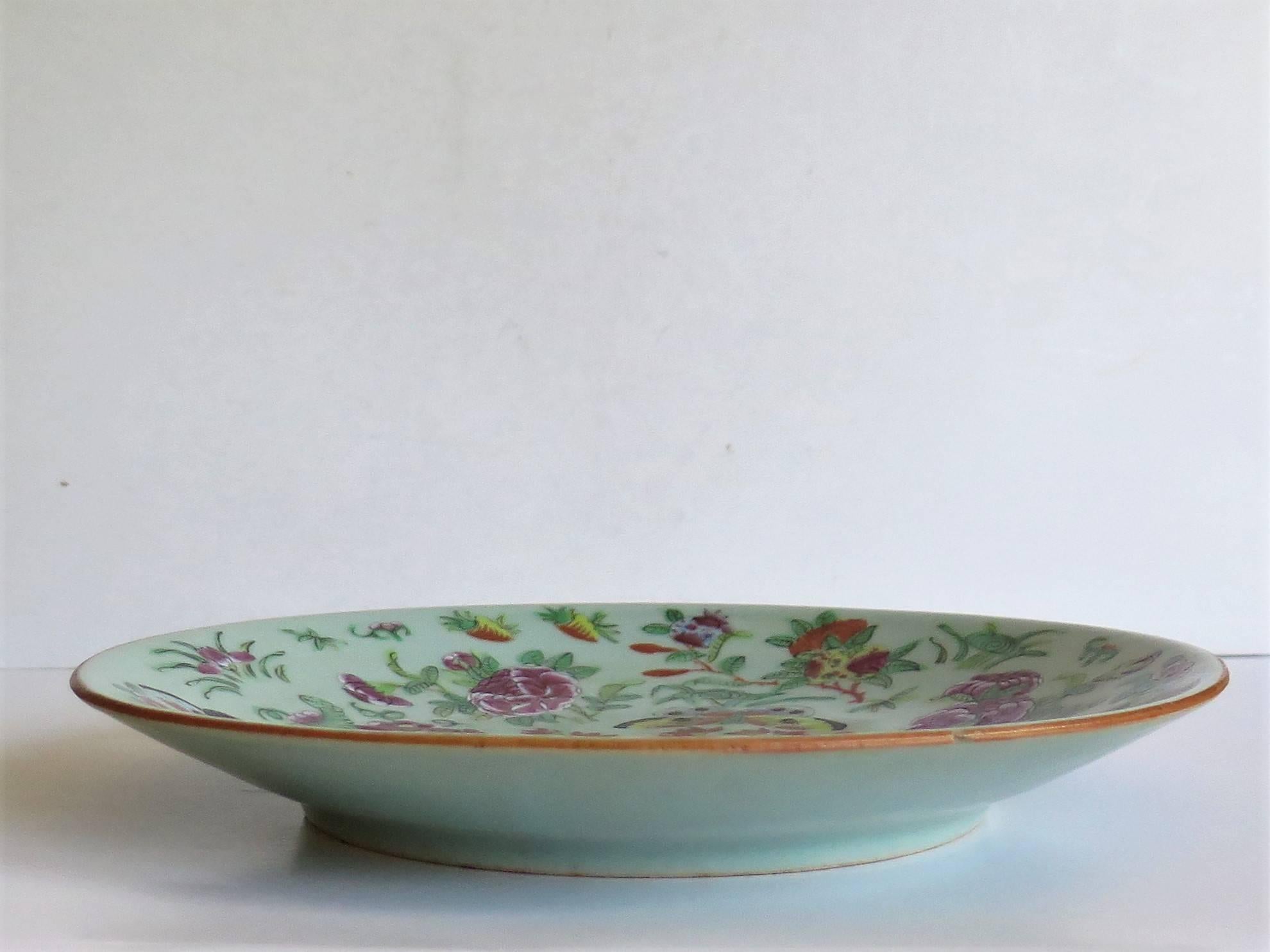 Chinese Porcelain Plate Celadon Glaze Hand-Painted butterflies, Qing Circa 1820 3