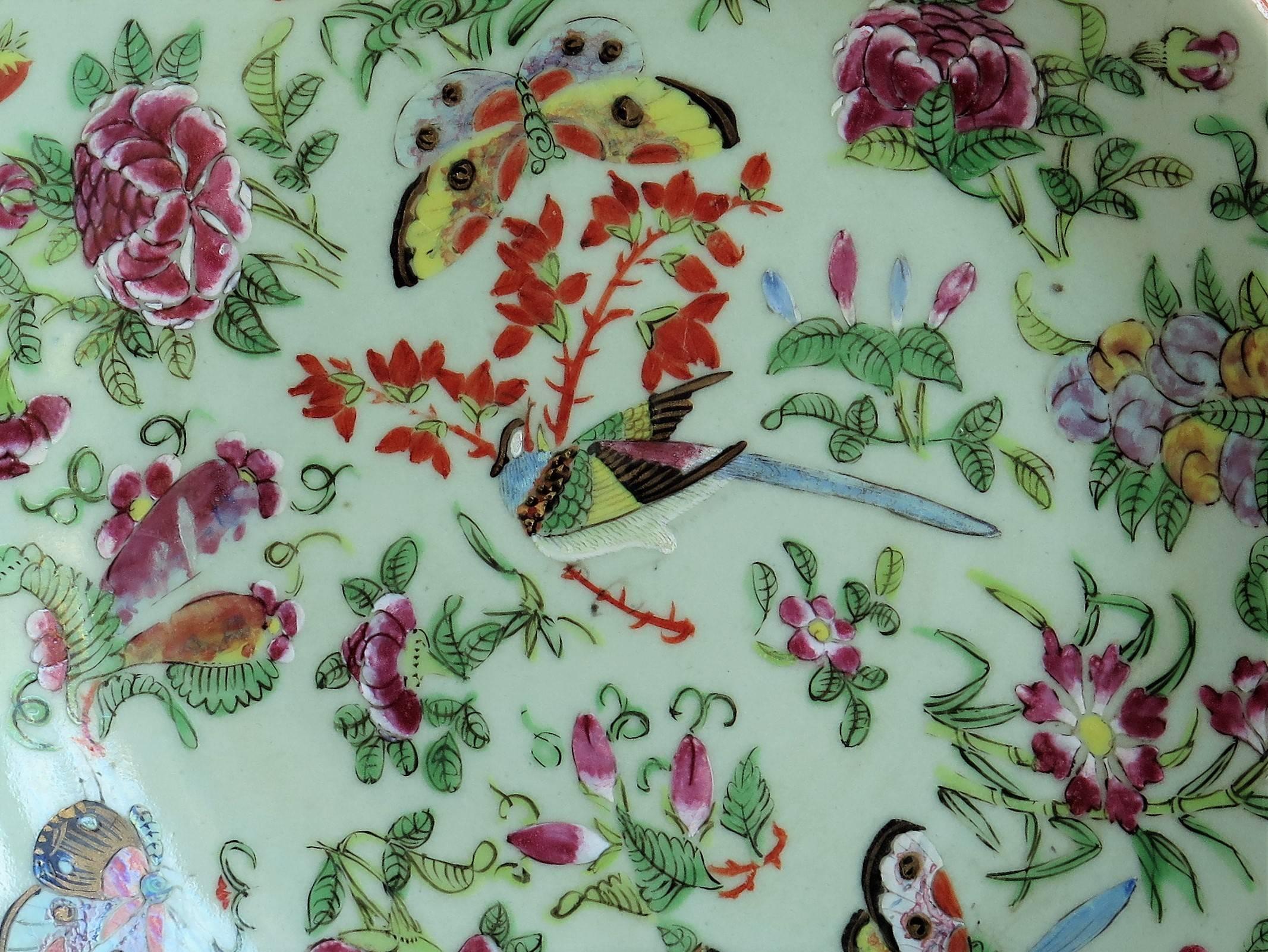 Chinese Porcelain Plate Celadon Glaze Hand-Painted butterflies, Qing Circa 1820 2