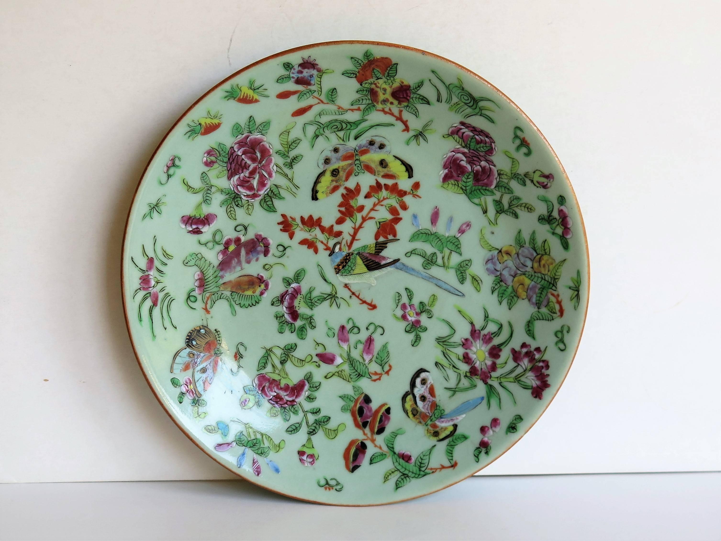 This is a very good 19th century Chinese Export, (Canton) Plate or Dish, which we date to the early 19th century, circa 1820 of the Qing dynasty.

The plate has a light green, Celadon ground with beautifully hand painted decoration, in over-glaze