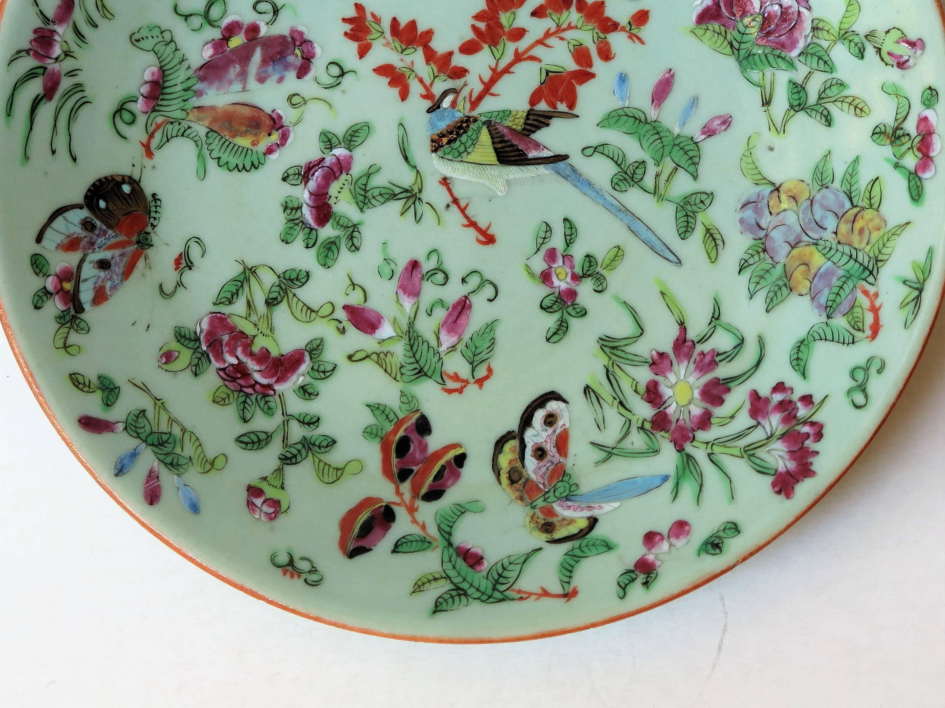 19th Century Chinese Porcelain Plate Celadon Glaze Hand-Painted butterflies, Qing Circa 1820