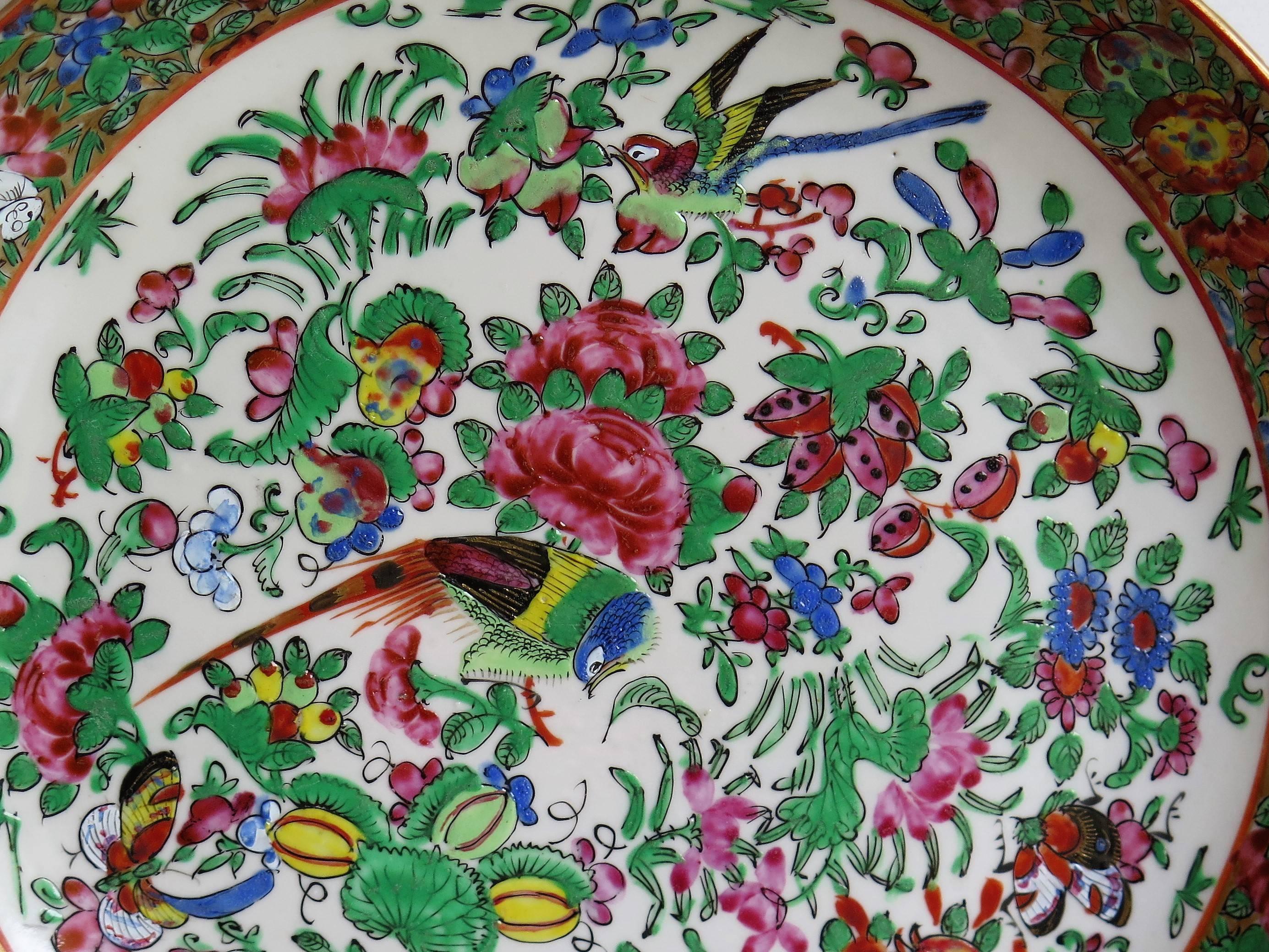 Large Chinese Export Porcelain Dish or Deep Plate Famille Rose, Qing Ca 1880 2