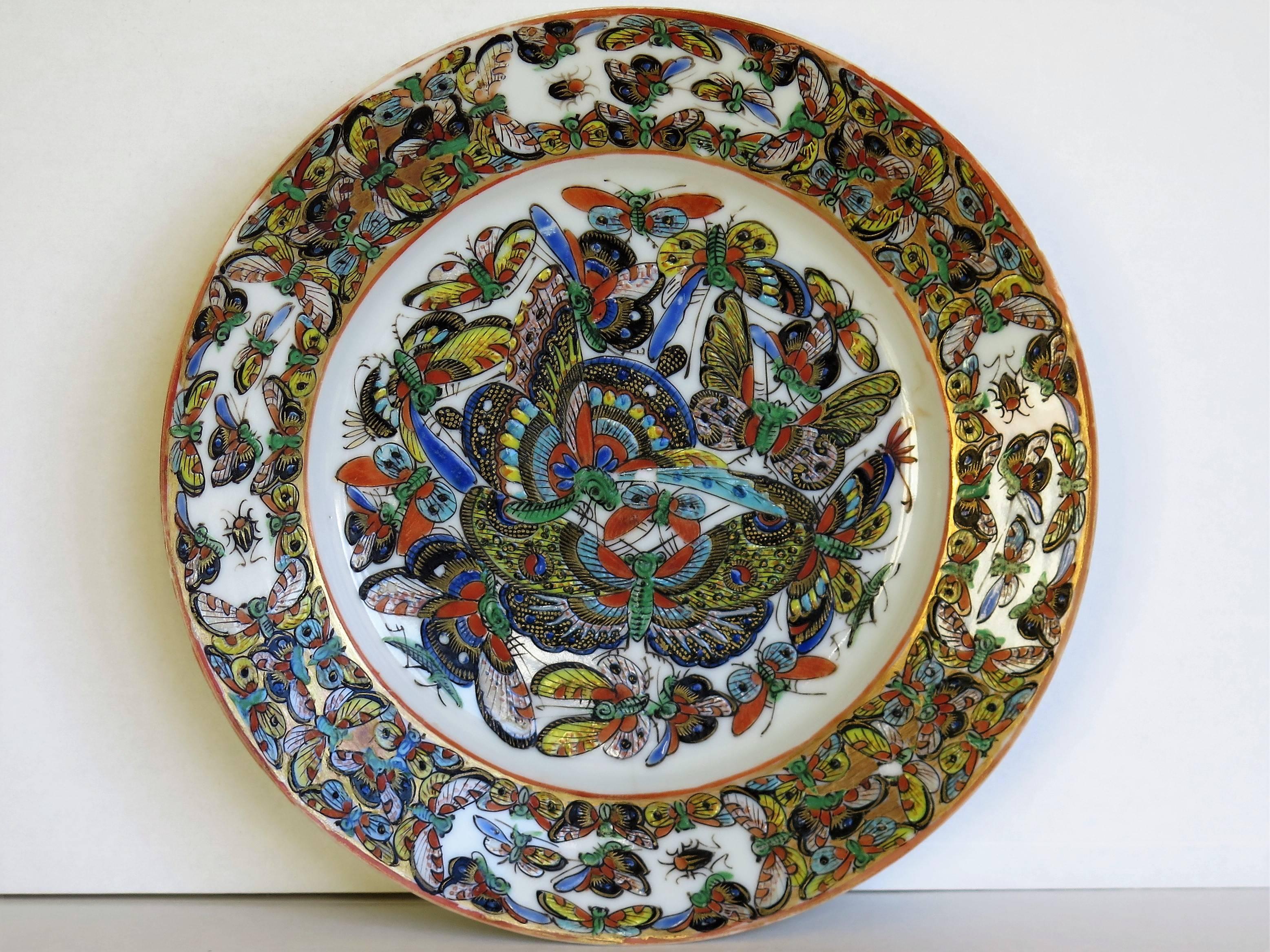 china with butterfly pattern