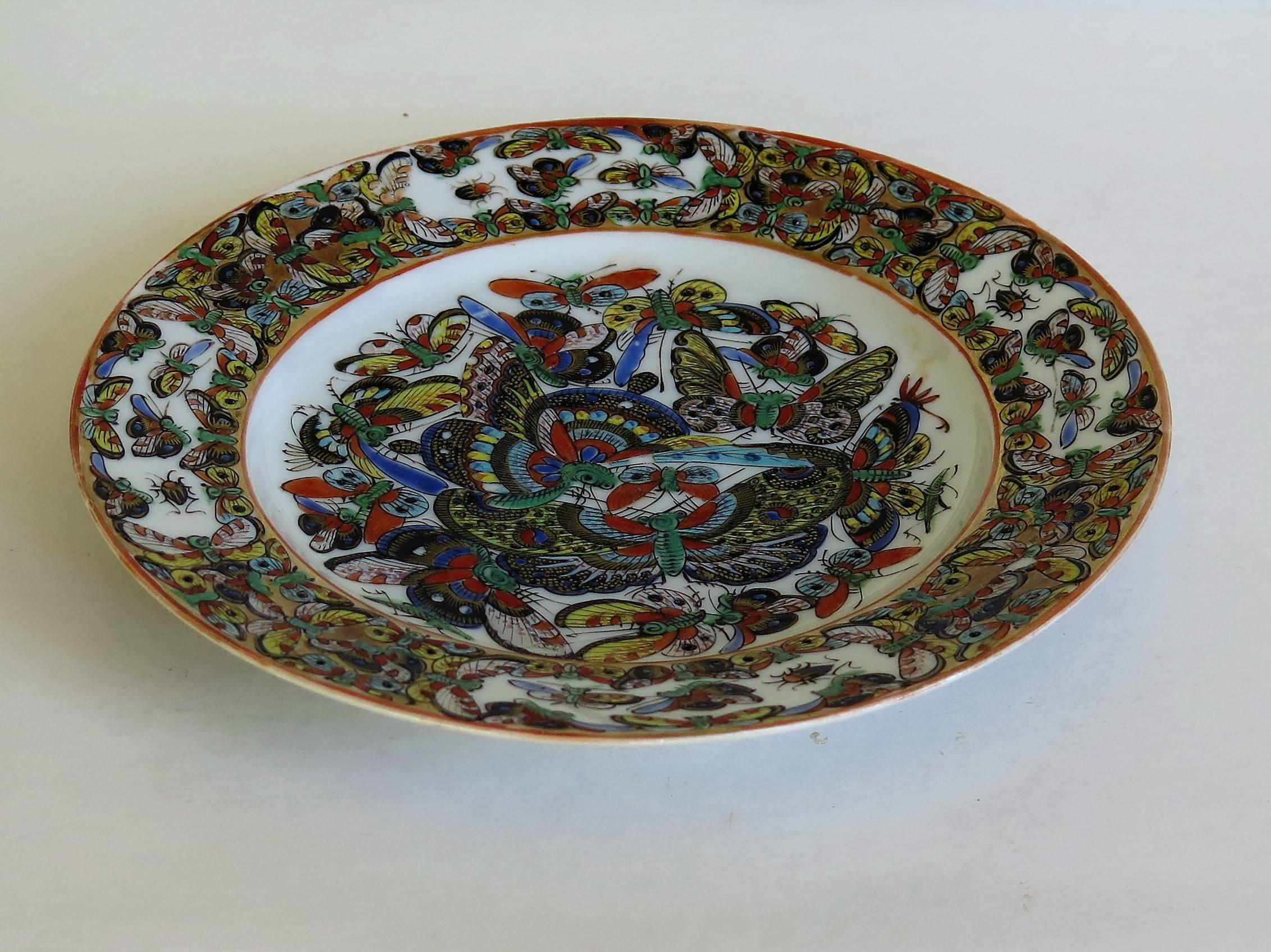 Hand-Painted Chinese Export Porcelain Plate Butterfly Pattern, Qing Early 19th Century