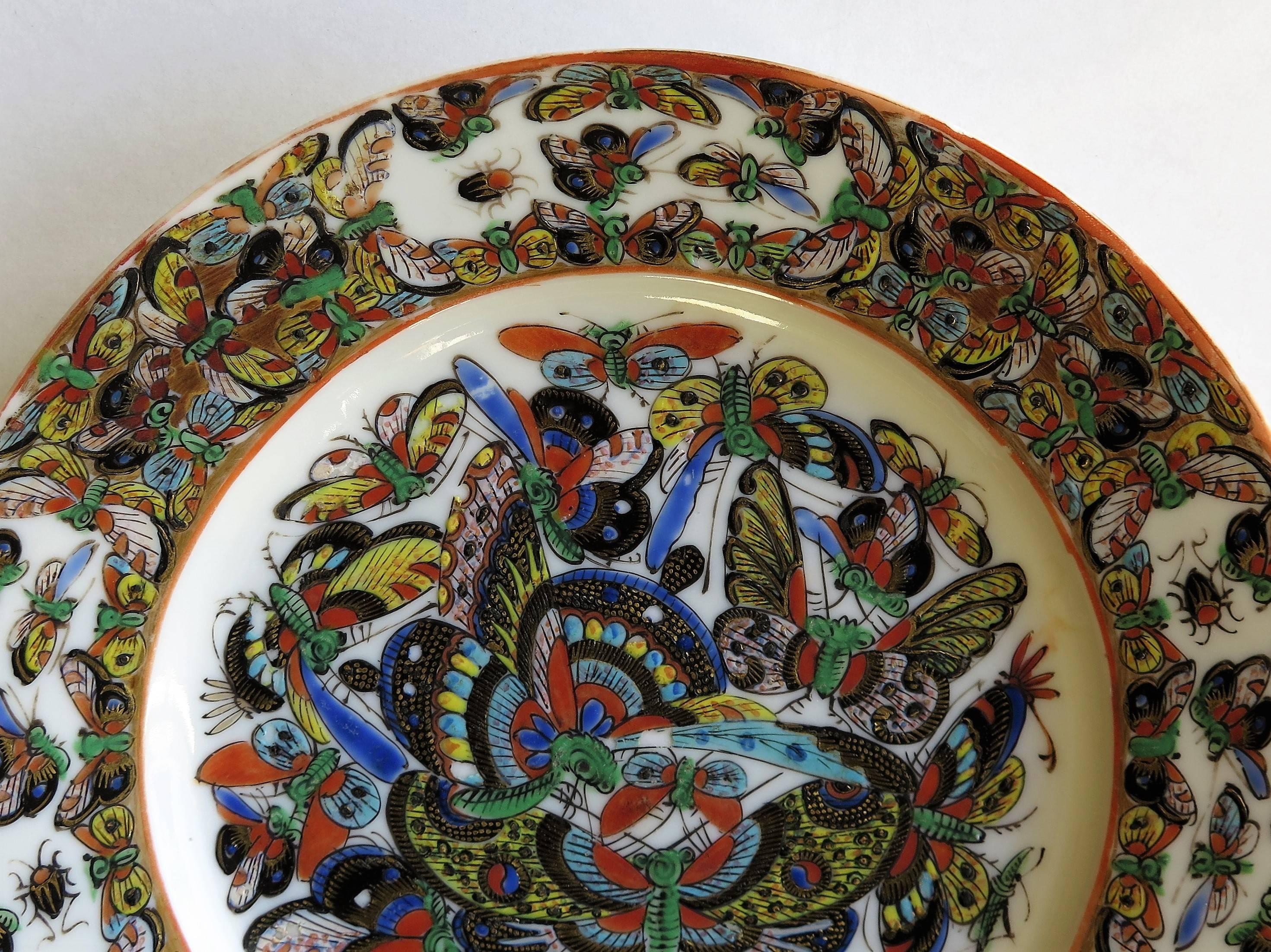 Chinese Export Porcelain Plate Butterfly Pattern, Qing Early 19th Century 2