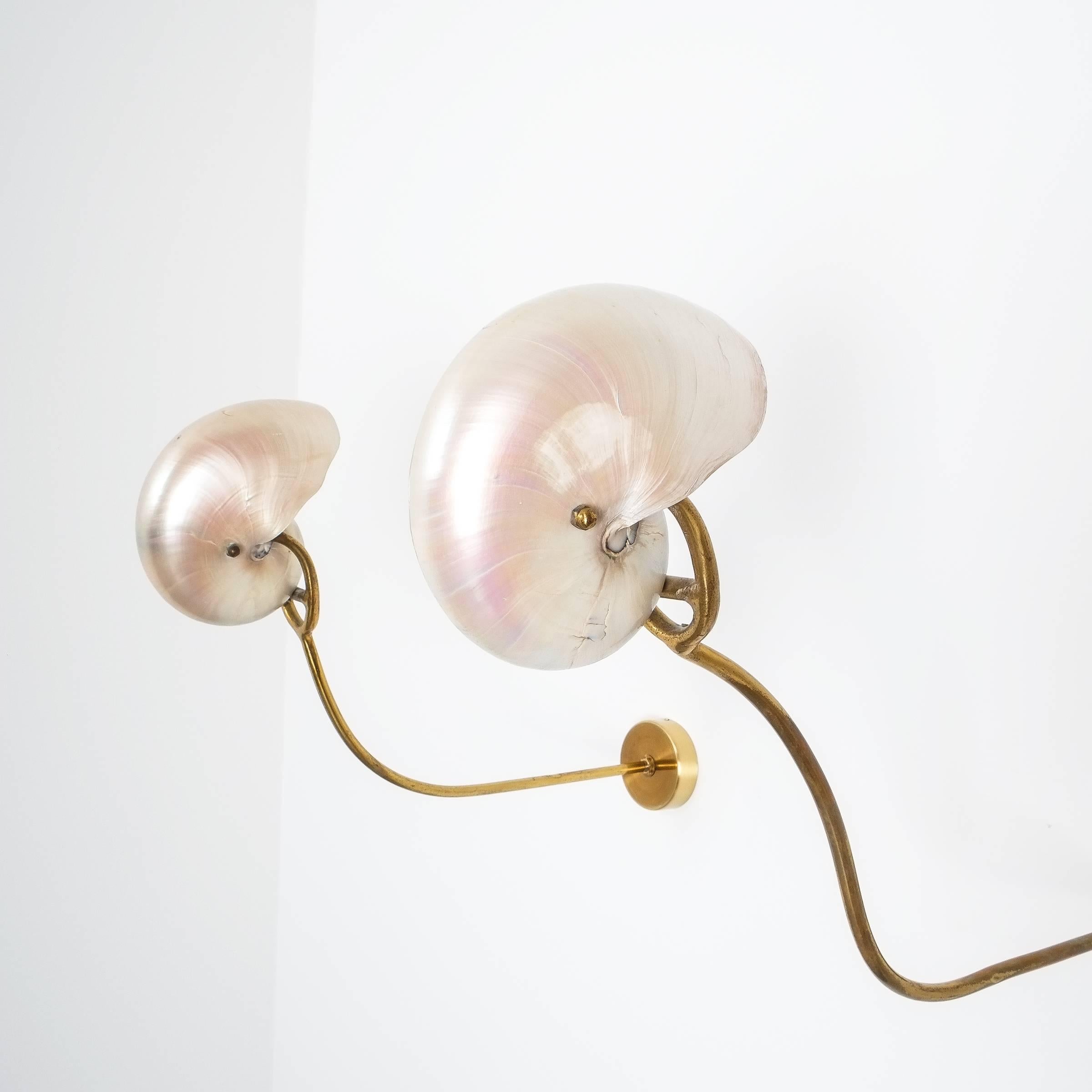 Nautilus shell mother-of-pearl sconces wall lights brass, Italy, 1950. Rare extraordinary pair of Nautilus shell wall lamps each with an individual brass fitting. They are slightly different in shape but working beautifully as a pair. Measurements