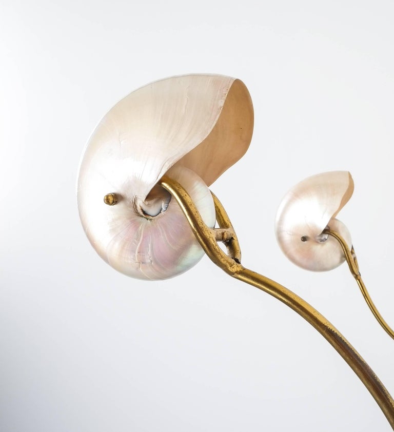 Nautilus Shell Mother Of Pearl Sconces Wall Lights Brass Italy