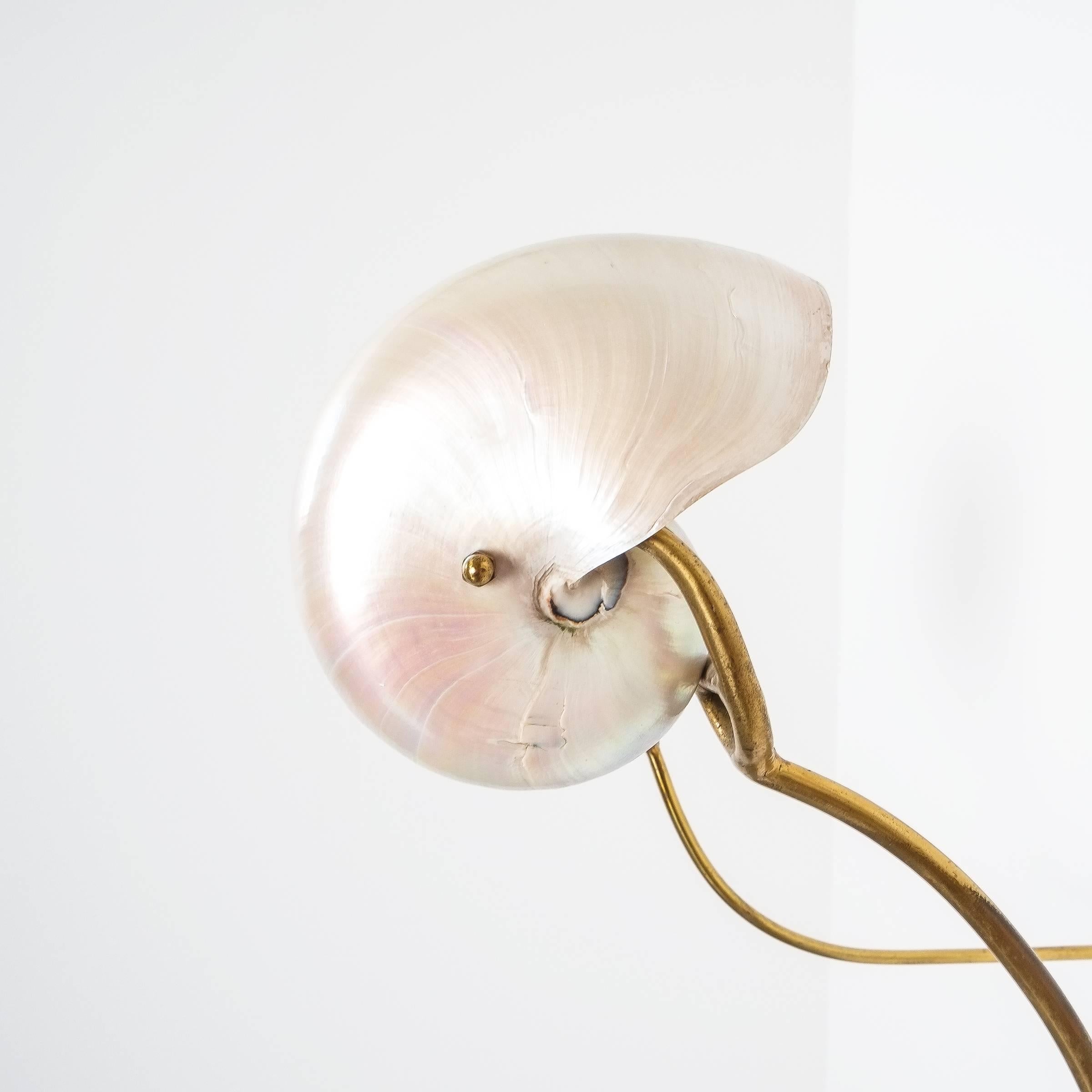 Mid-Century Modern Nautilus Shell Mother-of-Pearl Sconces Wall Lights Brass, Italy, 1950 