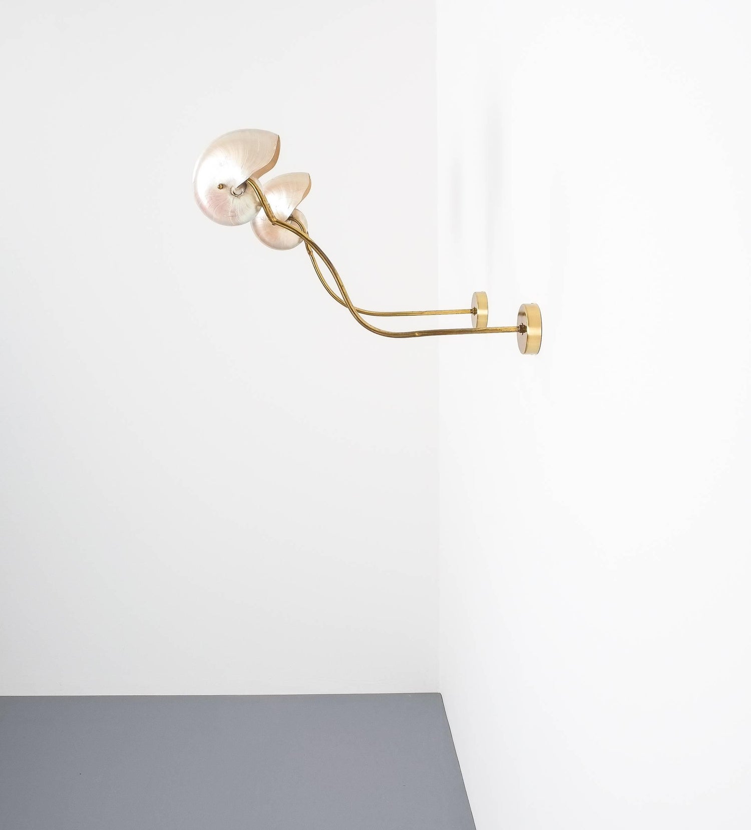 Nautilus Shell Mother Of Pearl Sconces Wall Lights Brass Italy 1950 At 1stdibs