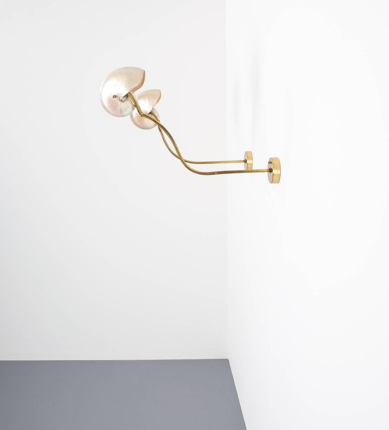 Nautilus Shell Mother Of Pearl Sconces Wall Lights Brass Italy