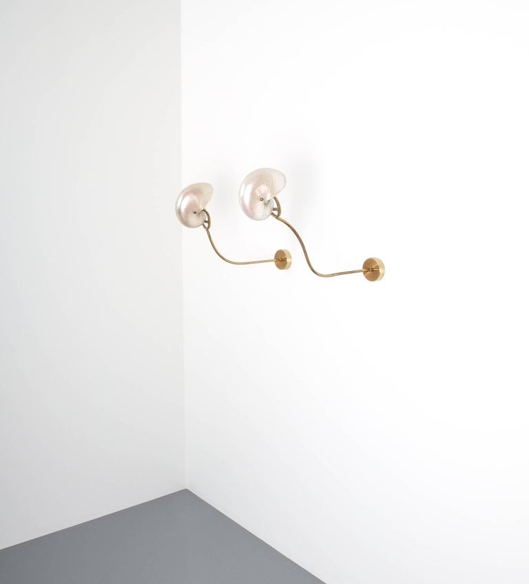 Nautilus Shell Mother Of Pearl Sconces Wall Lights Brass Italy