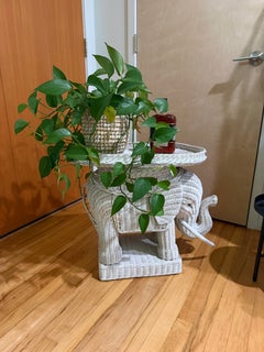 Mid-Century Wicker Rattan White Elephant Garden Stool, USA, 1970s Removable Tray