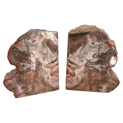 Petrified Wood Bookends with Antique Carved Design Large